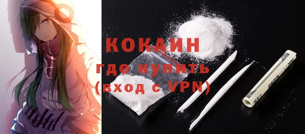 дмт Касимов