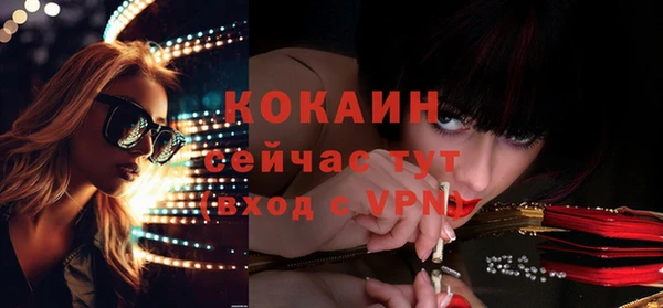 дмт Касимов
