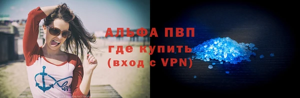 дмт Касимов