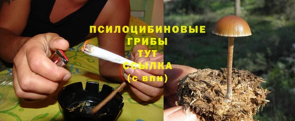 дмт Касимов
