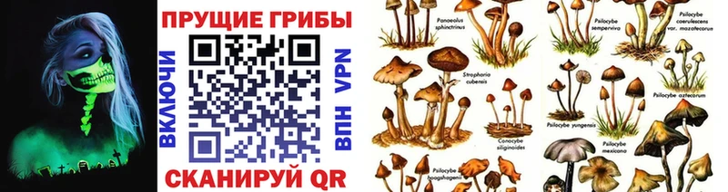 Купить где  Гусиноозёрск  Псилоцибиновые грибы GOLDEN TEACHER 